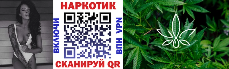 Где найти наркотики Салехард Codein  Галлюциногенные грибы  A-PVP  МЕФ  Кокаин  ГАШИШ 