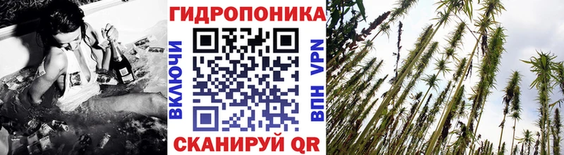 Бошки Шишки индика  Салехард 